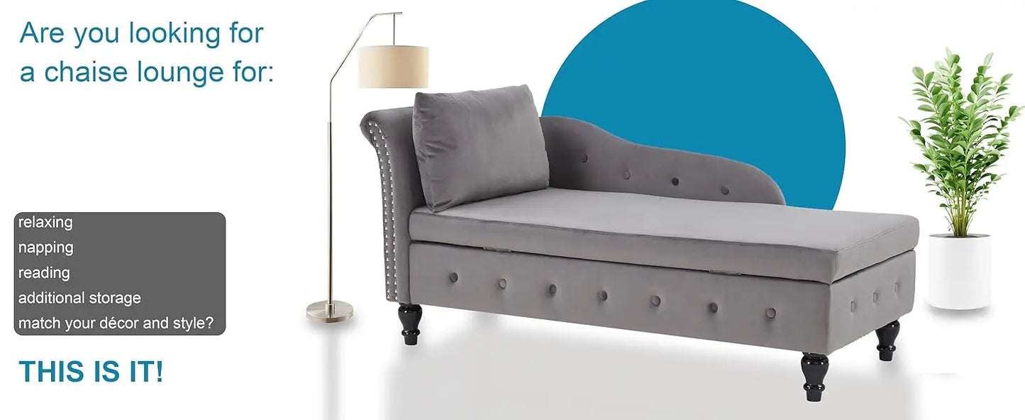 Lounge Indoor with Storage, Upholstered Chaise Lounges Couch with Pillow for Living Room, Bedroom and Office, Modern Nail
