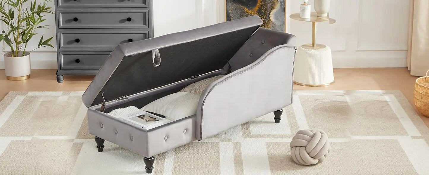 Lounge Indoor with Storage, Upholstered Chaise Lounges Couch with Pillow for Living Room, Bedroom and Office, Modern Nail