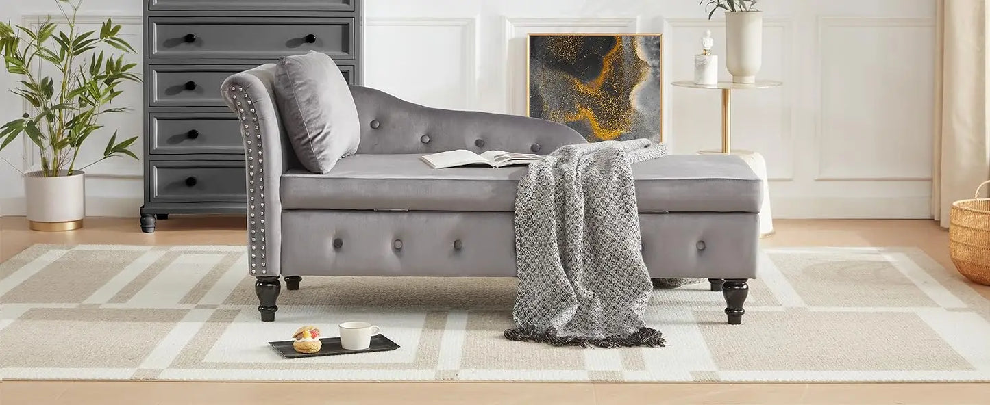 Lounge Indoor with Storage, Upholstered Chaise Lounges Couch with Pillow for Living Room, Bedroom and Office, Modern Nail