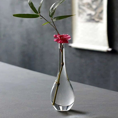 Japan Style Glass Vase – Zen Design for Dry Flowers